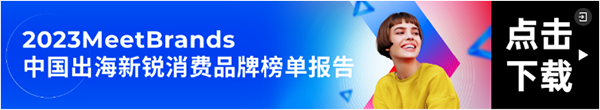 中国平台海外激战，重塑零售市场：中国出海新锐消费品牌榜单报告