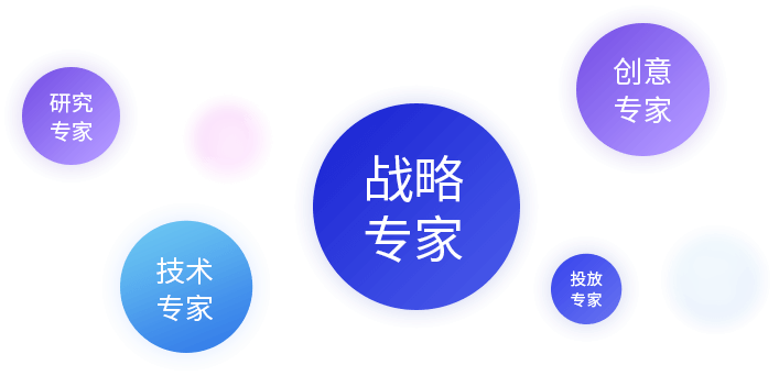 专业服务团队